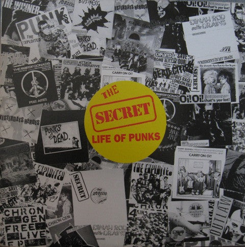 The Secret Life Of Punks comp LP